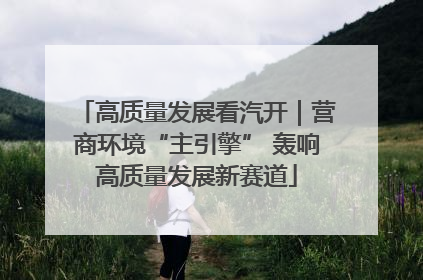 高质量发展看汽开｜营商环境“主引擎” 轰响高质量发展新赛道