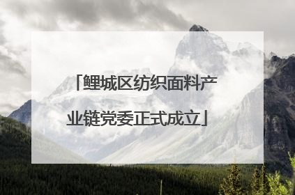 鲤城区纺织面料产业链党委正式成立