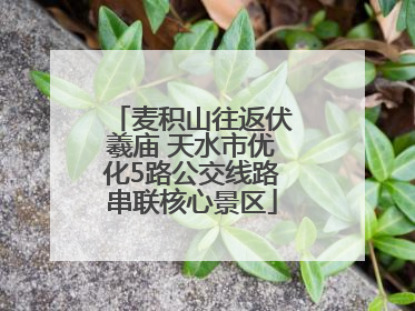 麦积山往返伏羲庙 天水市优化5路公交线路串联核心景区