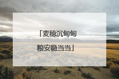 麦穗沉甸甸 粮安稳当当