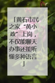 黄石市民之家“黄小政”上岗，不仅能聊天办事还能听懂多种语言