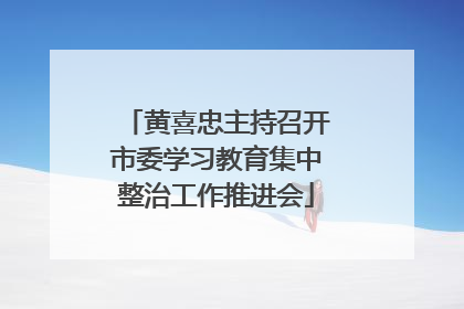 黄喜忠主持召开市委学习教育集中整治工作推进会