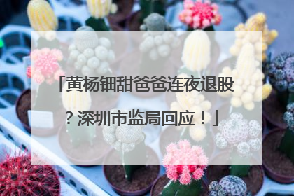 黄杨钿甜爸爸连夜退股？深圳市监局回应！