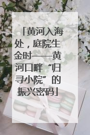 黄河入海处，庭院生金时——黄河口畔“归寻小院”的振兴密码