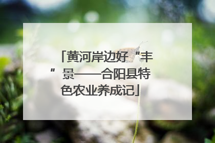 黄河岸边好“丰”景——合阳县特色农业养成记
