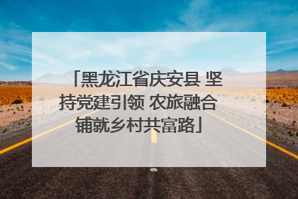 黑龙江省庆安县 坚持党建引领 农旅融合铺就乡村共富路