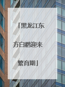 黑龙江东方白鹳迎来繁育期
