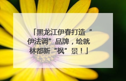 黑龙江伊春打造“伊法调”品牌，绘就林都新“枫”景！