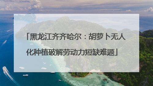 黑龙江齐齐哈尔：胡萝卜无人化种植破解劳动力短缺难题