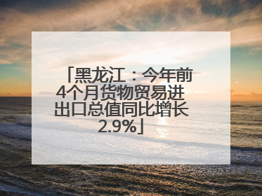 黑龙江：今年前4个月货物贸易进出口总值同比增长2.9%
