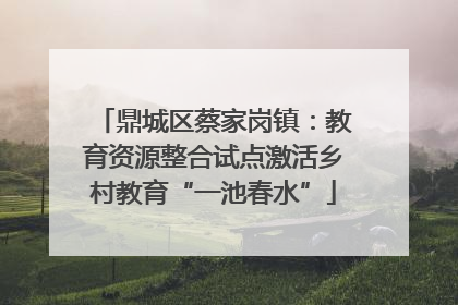 鼎城区蔡家岗镇：教育资源整合试点激活乡村教育“一池春水”
