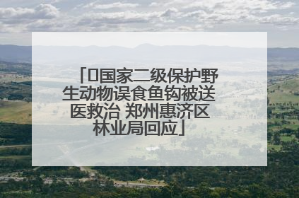 ﻿国家二级保护野生动物误食鱼钩被送医救治 郑州惠济区林业局回应