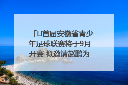 ﻿首届安徽省青少年足球联赛将于9月开赛 拟邀请赵鹏为先导赛开球
