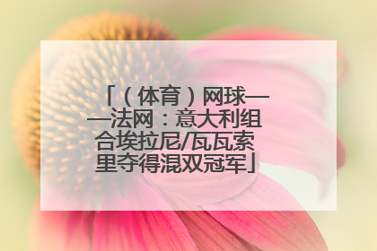 （体育）网球——法网：意大利组合埃拉尼/瓦瓦索里夺得混双冠军