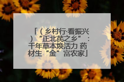 （乡村行·看振兴）“正北芪之乡”：千年草本焕活力 药材生“金”富农家