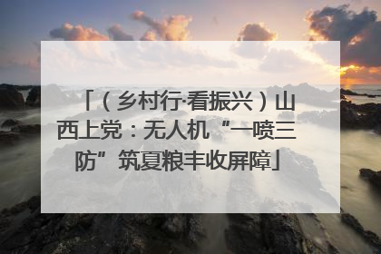 （乡村行·看振兴）山西上党：无人机“一喷三防”筑夏粮丰收屏障
