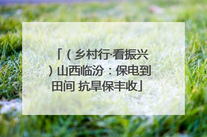 （乡村行·看振兴）山西临汾：保电到田间 抗旱保丰收