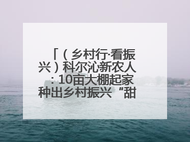 （乡村行·看振兴）科尔沁新农人：10亩大棚起家种出乡村振兴“甜蜜果”