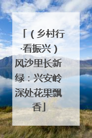 （乡村行·看振兴）风沙里长新绿：兴安岭深处花果飘香
