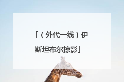 （外代一线）伊斯坦布尔掠影