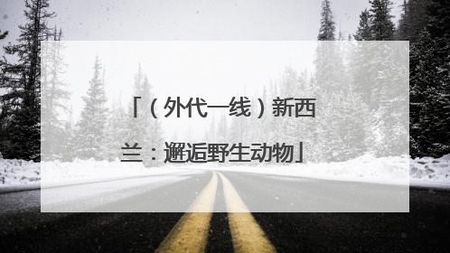 （外代一线）新西兰：邂逅野生动物