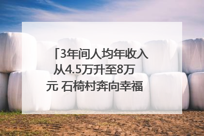 3年间人均年收入从4.5万升至8万元 石椅村奔向幸福好样子｜牵挂的村