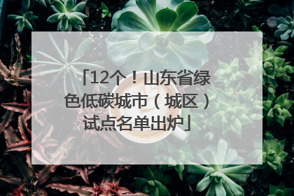 12个！山东省绿色低碳城市（城区）试点名单出炉