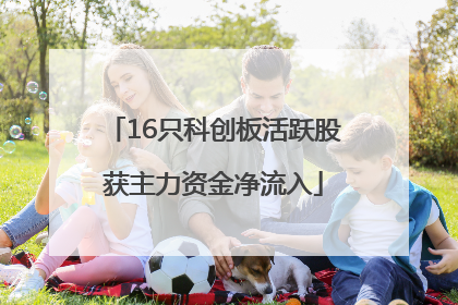 16只科创板活跃股获主力资金净流入