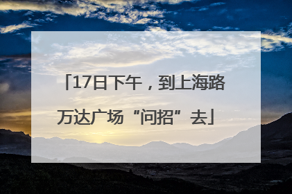 17日下午，到上海路万达广场“问招”去