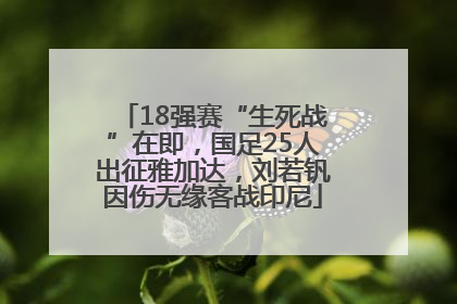 18强赛“生死战”在即，国足25人出征雅加达，刘若钒因伤无缘客战印尼