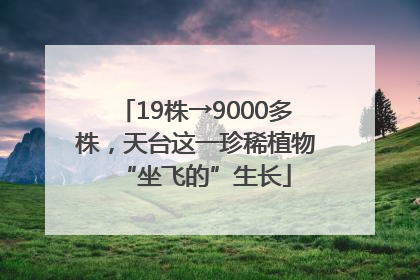 19株→9000多株，天台这一珍稀植物“坐飞的”生长