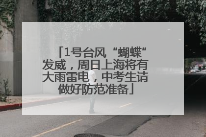 1号台风“蝴蝶”发威，周日上海将有大雨雷电，中考生请做好防范准备