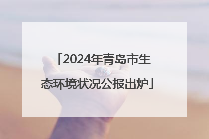 2024年青岛市生态环境状况公报出炉