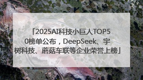 2025AI科技小巨人TOP50榜单公布，DeepSeek、宇树科技、蘑菇车联等企业荣誉上榜