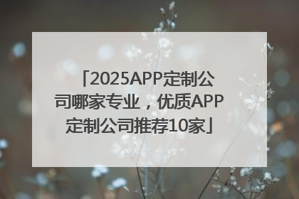 2025APP定制公司哪家专业，优质APP定制公司推荐10家