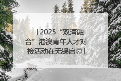 2025“双湾融合”港澳青年人才对接活动在无锡启幕