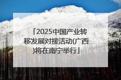 2025中国产业转移发展对接活动(广西)将在南宁举行