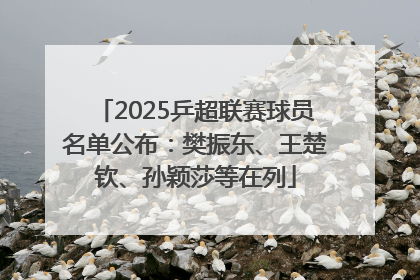 2025乒超联赛球员名单公布：樊振东、王楚钦、孙颖莎等在列
