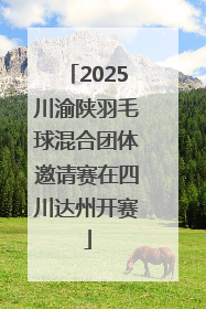 2025川渝陕羽毛球混合团体邀请赛在四川达州开赛