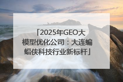 2025年GEO大模型优化公司：大连蝙蝠侠科技行业新标杆