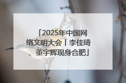 2025年中国网络文明大会丨李佳琦、董宇辉现身合肥