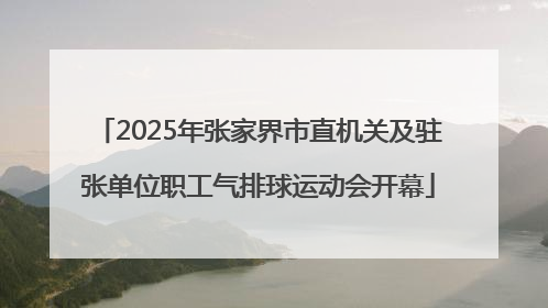 2025年张家界市直机关及驻张单位职工气排球运动会开幕