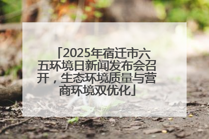 2025年宿迁市六五环境日新闻发布会召开，生态环境质量与营商环境双优化