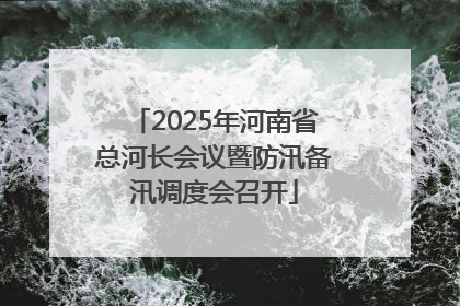 2025年河南省总河长会议暨防汛备汛调度会召开