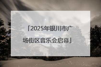 2025年银川市广场街区音乐会启幕