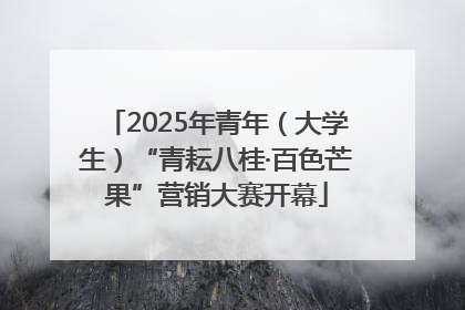 2025年青年（大学生）“青耘八桂·百色芒果”营销大赛开幕