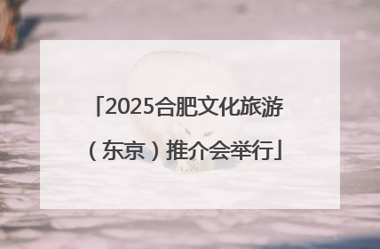 2025合肥文化旅游（东京）推介会举行