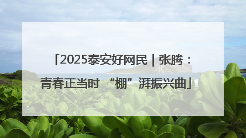 2025泰安好网民｜张腾：青春正当时 “棚”湃振兴曲