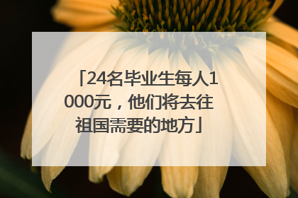 24名毕业生每人1000元，他们将去往祖国需要的地方