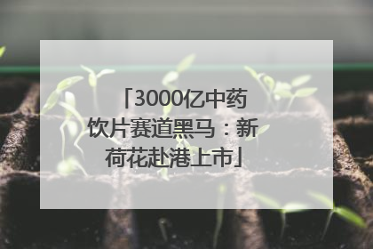 3000亿中药饮片赛道黑马：新荷花赴港上市